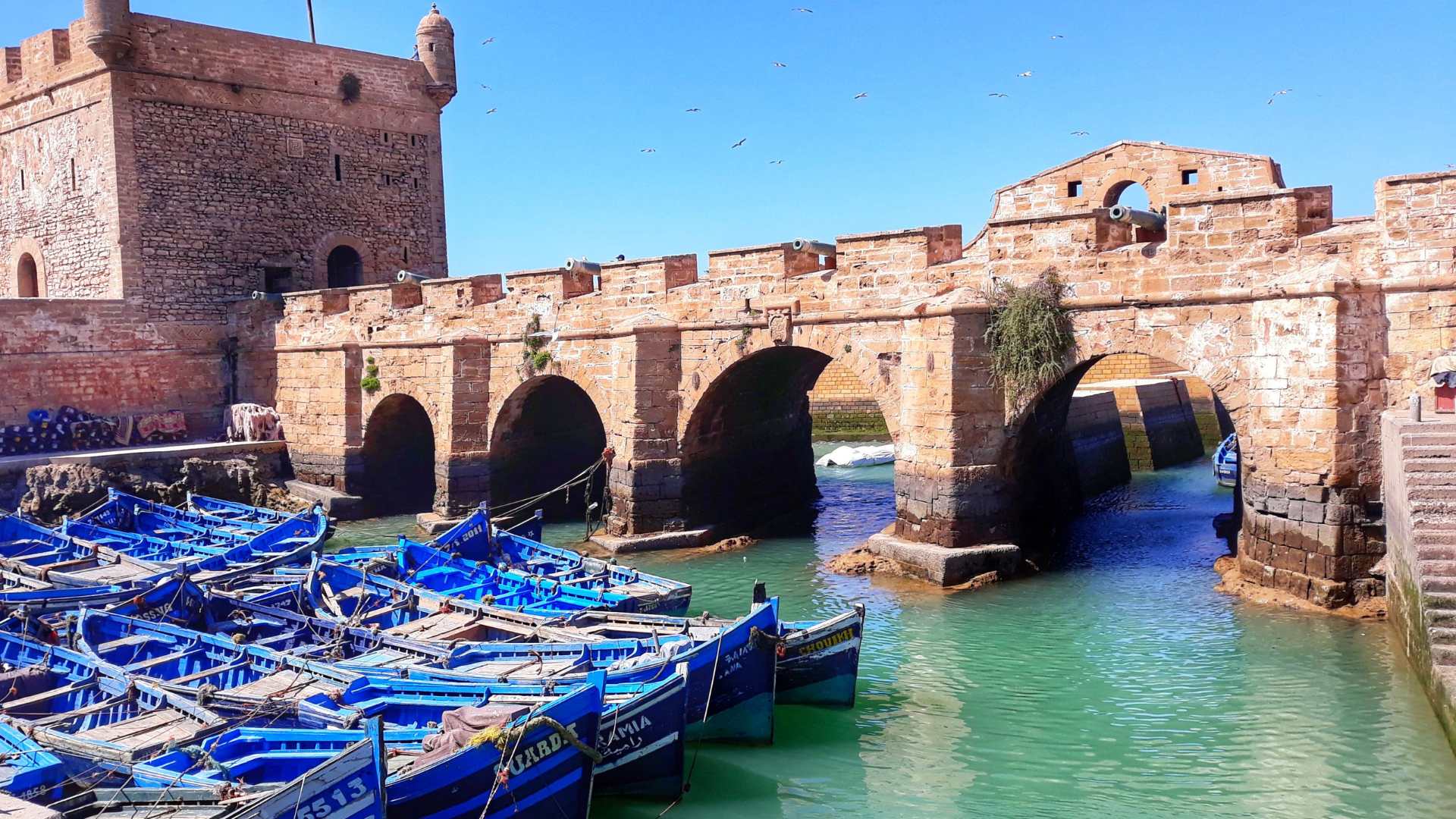 Excursion d'une Journée à Essaouira – Découvrez la Perle de l’Atlantique au Départ d’Agadir