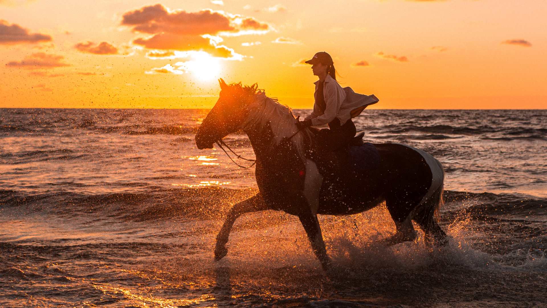 Imsouane : Balade à cheval de 2 heures sur la plage au coucher du soleil
